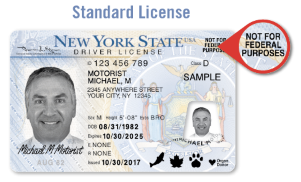 Licencia Para Indocumentados en New York